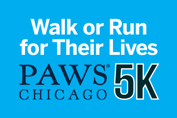 PAWS Chicago 5K: Walk or Run for Their Lives